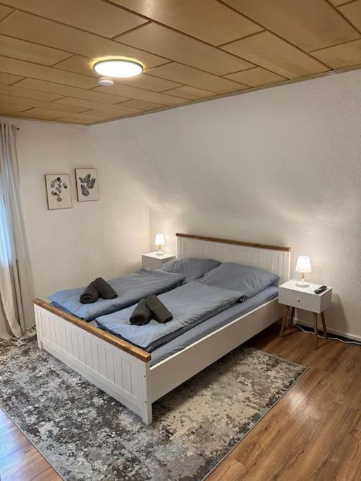 Gemuetliche Wohnung Naehe Alsfeld - Parkplatz Екстериор снимка